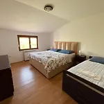 Camellia 2 Liyubuşka