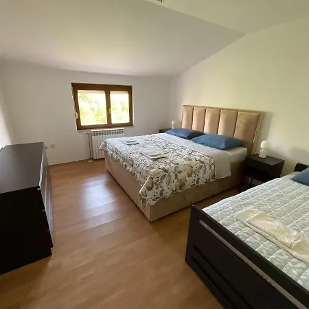 Camellia 2 * Ljubuški