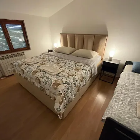Camellia 2 Liyubuşka